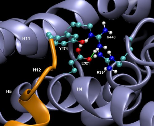 molecular modelling